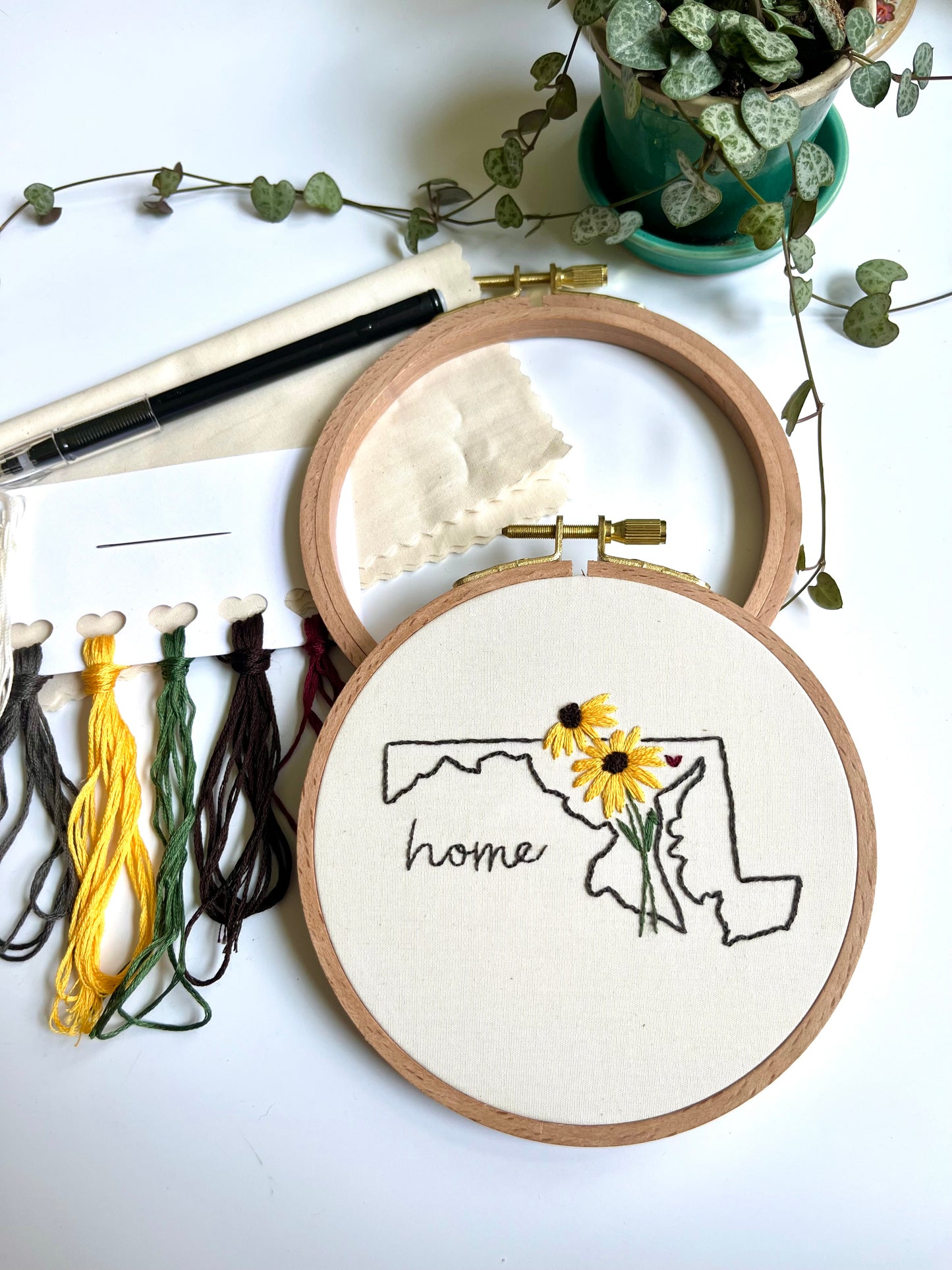 Maryland State Flower Kit | FULL Kit